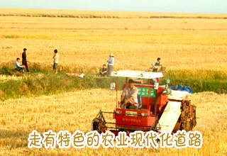 走有特色的農業現代化道路