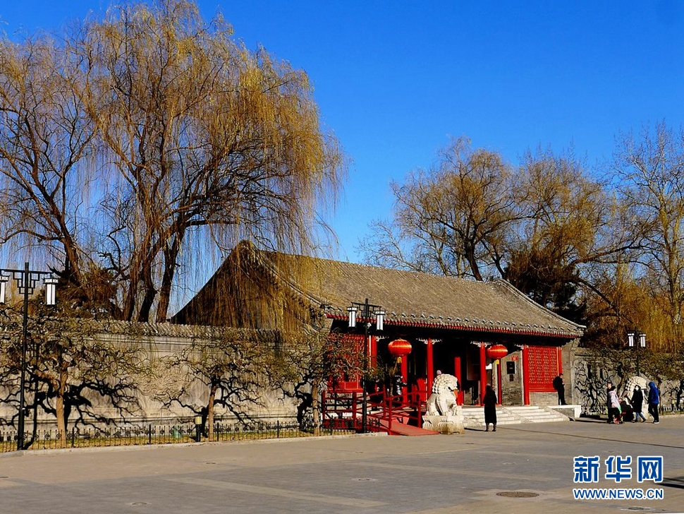 冬至，漫步大觀園