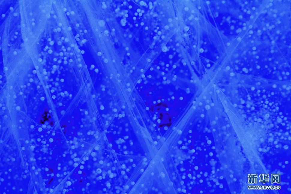 氣泡冰亮晶晶，藍精靈賽繁星