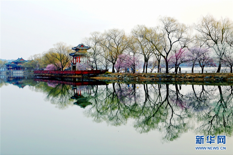 西堤煙柳-頤和園
