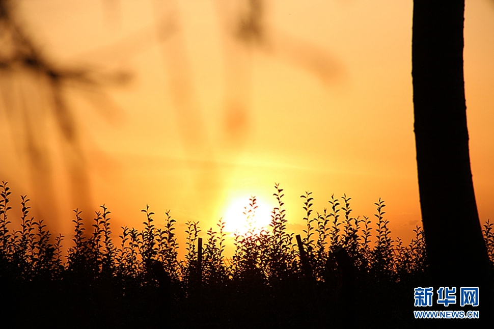 日落西山頭，人約黃昏后