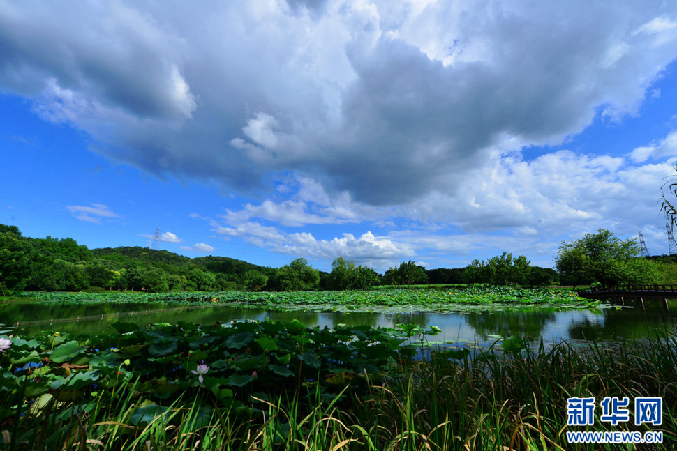 秋高氣爽，行攝八掛田