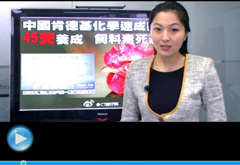 權威聲音：“快時代”究竟還有什么可以速成？