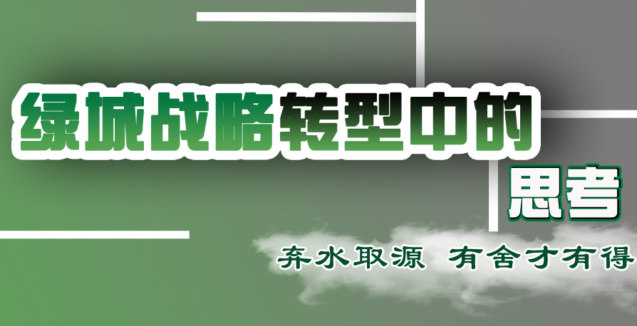 傅林江談綠城戰略轉型中的思考