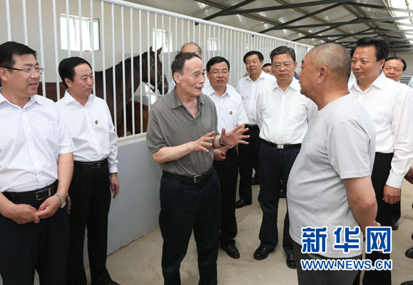 這是7月3日，王岐山在錫林浩特市義合良種馬繁育基地考察。新華社記者 龐興雷 攝