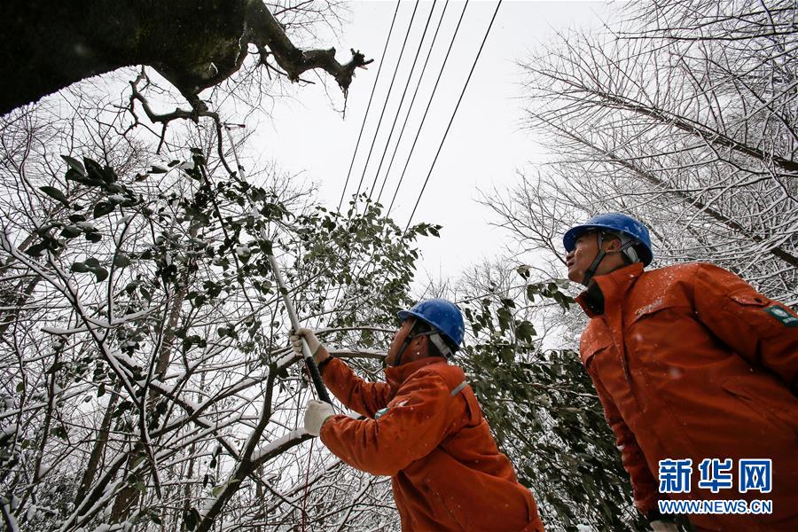 （新華全媒頭條）（8）雨雪冰凍中，他們奮力前行——基層黨員干群抗擊冰雪災害紀實