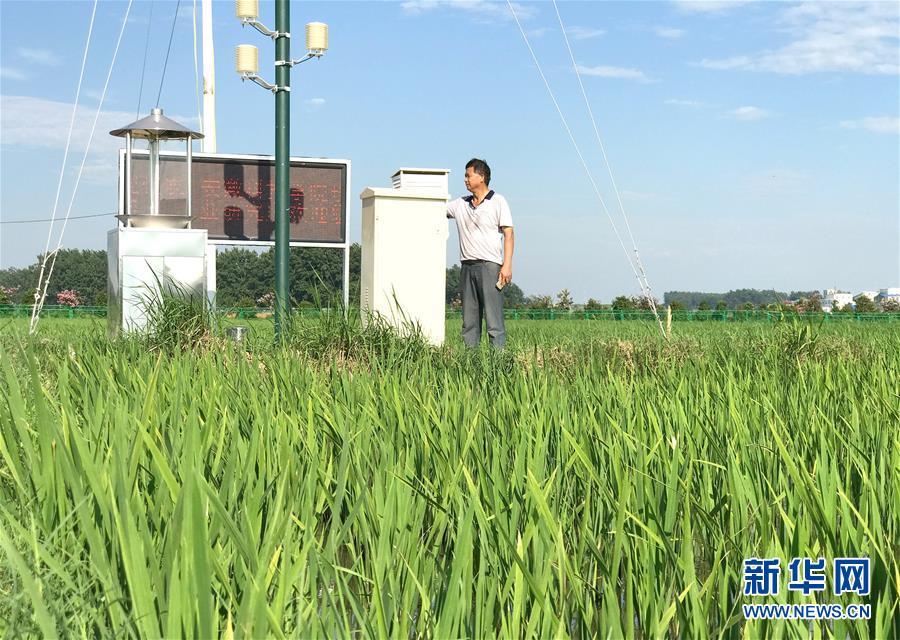 （新華全媒頭條·紀念改革開放40年特稿·圖文互動）（6）向著新航程揚帆奮進！——從小崗精神看中國改革開放40年