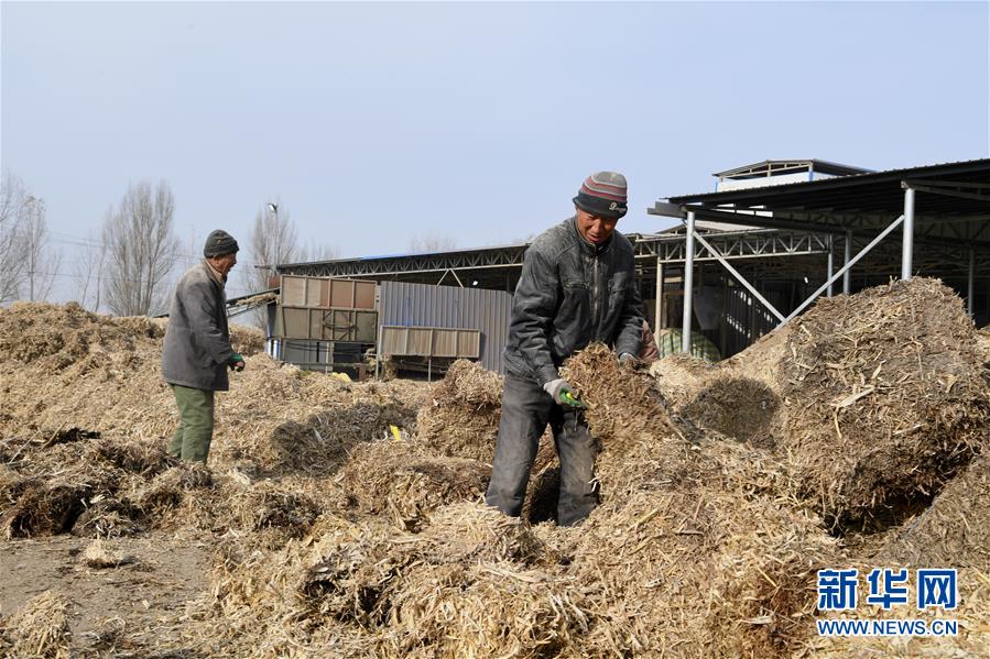 （在習近平新時代中國特色社會主義思想指引下——新時代新氣象新作為·鄉村振興戰略·圖文互動）（2）“與其放火，不如打包”——山西渾源秸稈綜合再利用見聞