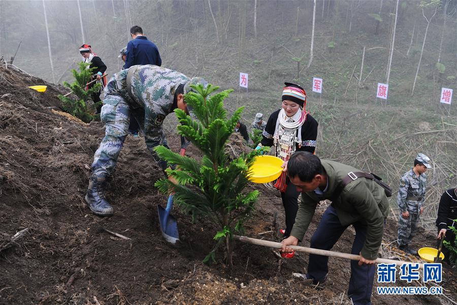 （圖文互動）（6）和平年代，離死神最近的人——南部戰區陸軍云南掃雷大隊邊境掃雷排爆記事