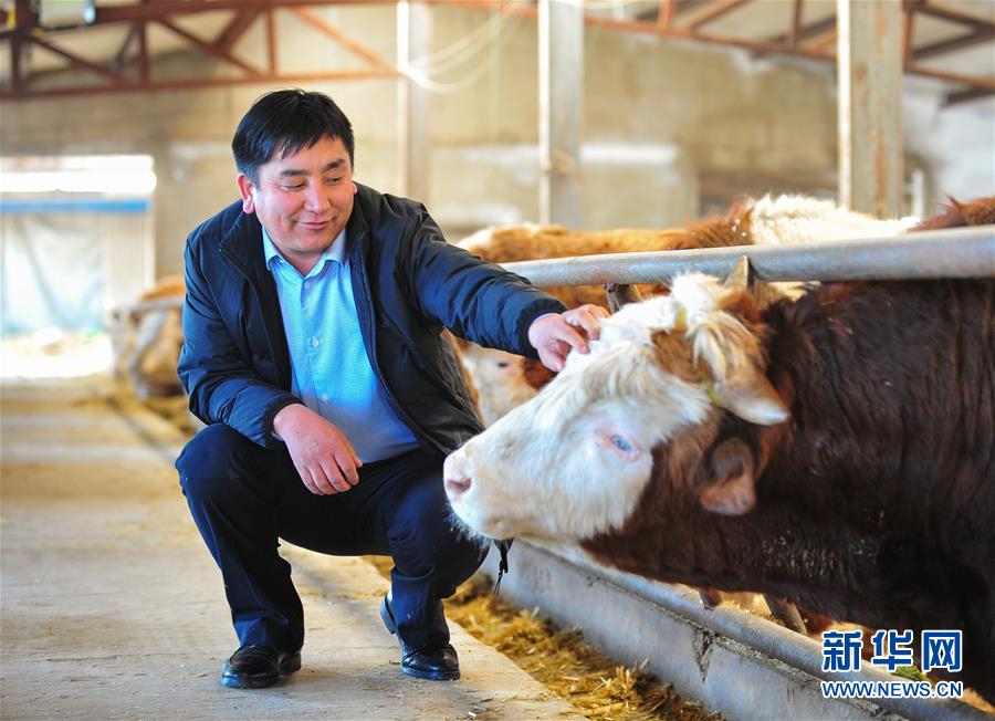 （兩會·基層代表履職故事）（4）全國人大代表吳云波：共享新時代發展成果