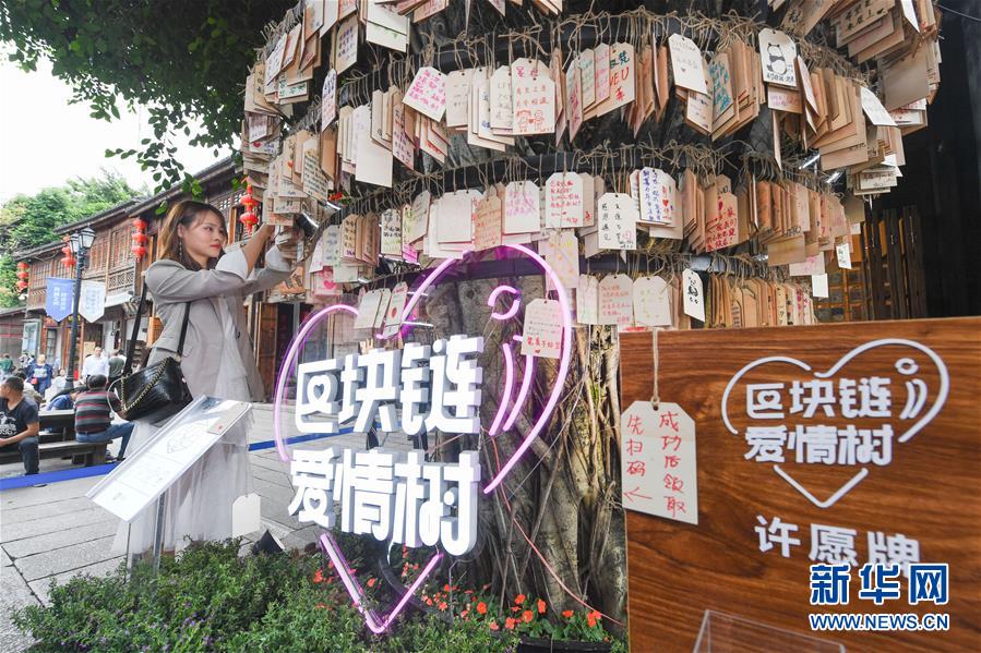 （新華全媒頭條·圖文互動）（9）從“數字中國”看中國發展新信號、新亮點、新趨勢