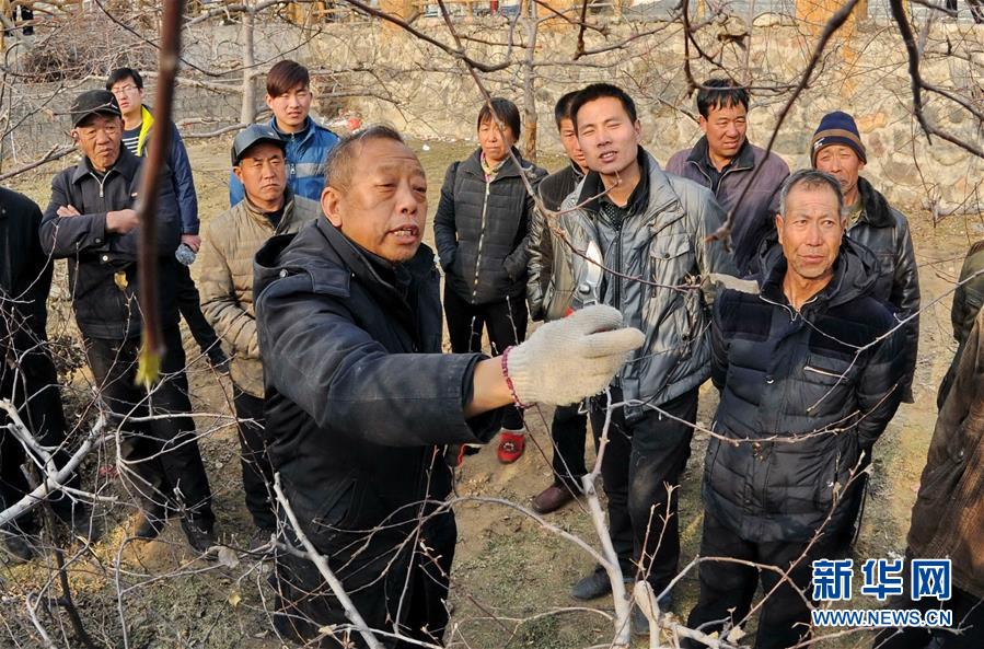 （新華全媒頭條·圖文互動）（8）鍛造領航復興的中流砥柱——寫在“不忘初心、牢記使命”主題教育即將啟動之際