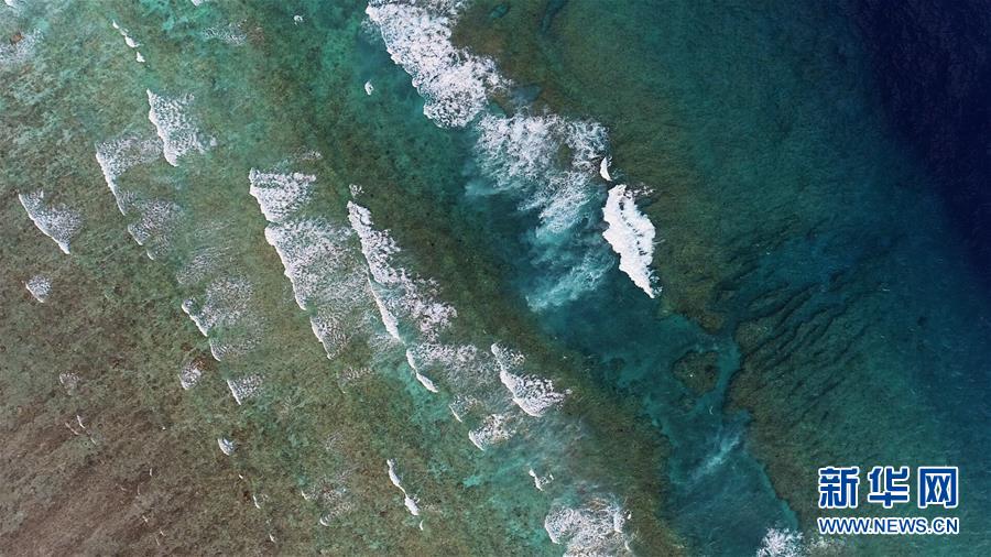 （壯麗70年·奮斗新時代·新華全媒頭條·圖文互動）（2）“你在我的航程上，我在你的視線里”——走進海軍西沙中建島官兵的五彩世界