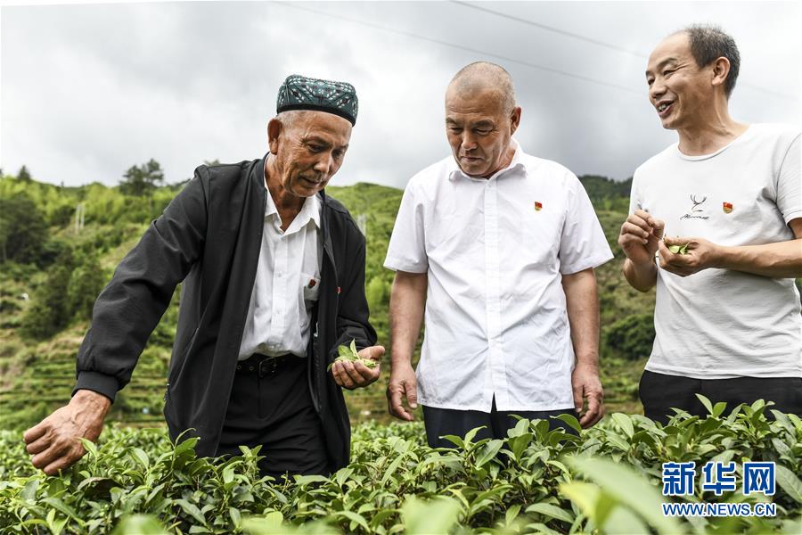 （新華全媒頭條·圖文互動）（7）同心援疆，“壯闊”祖國西北角