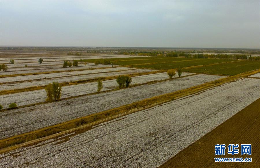 （壯麗70年&middot;奮斗新時代&mdash;&mdash;共和國發展成就巡禮&middot;圖文互動）（1）鑄劍為犁造綠洲 安邊固疆筑&ldquo;長城&rdquo;&mdash;&mdash;新疆生產建設兵團維穩戍邊改革發展紀實