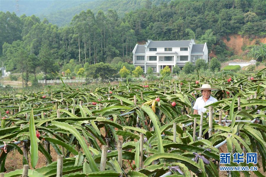 （在習近平新時代中國特色社會主義思想指引下——新時代新作為新篇章·總書記關心的百姓身邊事·圖文互動）（6）大污染變身“大寶藏”：治理畜禽糞污，他們這樣干！