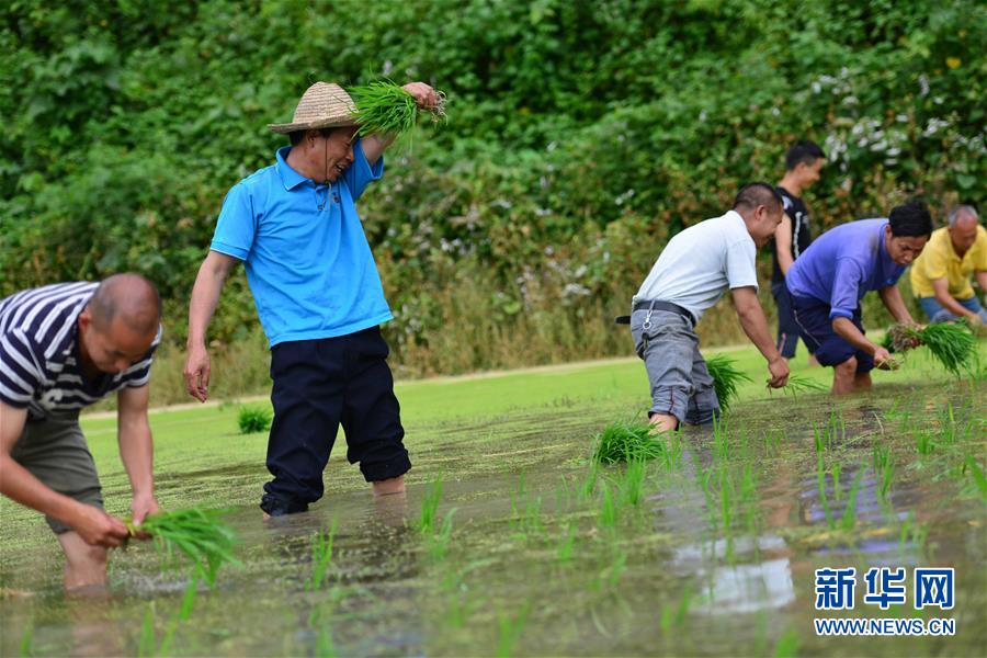（新華全媒頭條·圖文互動）（8）干部去哪兒了？——貴州干部大規模下沉脫貧攻堅一線紀實