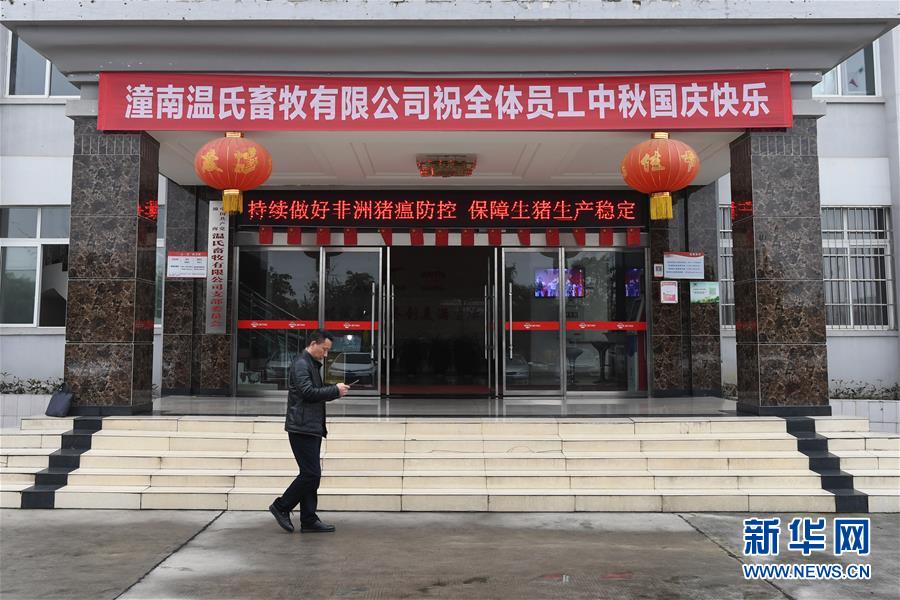 （在習近平新時代中國特色社會主義思想指引下——新時代新作為新篇章·總書記關切高質量發展·圖文互動）（1）穩住“一頭豬”、供好“一袋米”、配好“一籃菜