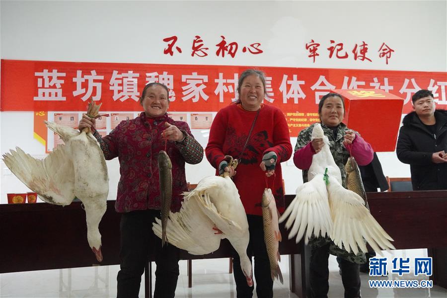 （新春走基層·圖文互動）（4）“空殼村”分紅啦！