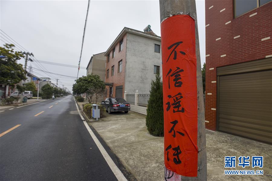 （新華全媒頭條·圖文互動）（4）農村戰“疫”如何攻堅？——來自湖北農村疫情防控一線的報告