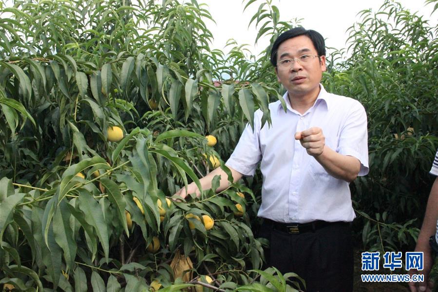 （圖文互動）（2）“為脫貧而來，為脫貧而去”——追記湖南炎陵縣委原書記黃詩燕 