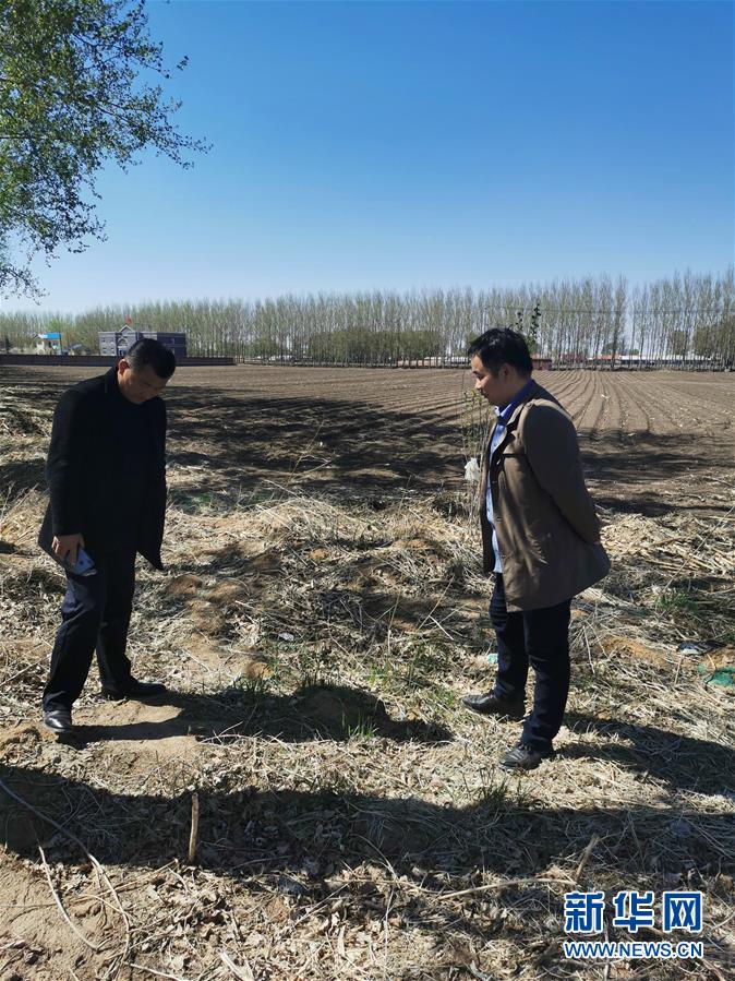 （在習近平新時代中國特色社會主義思想指引下——新時代新作為新篇章·習近平總書記關切事·圖文互動）（3）青春的顏色是什么？
