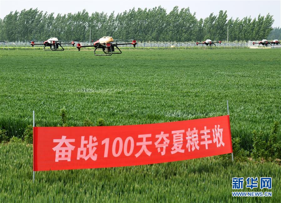 （在習近平新時代中國特色社會主義思想指引下——新時代新作為新篇章·習近平總書記關切事·圖文互動）（9）新農事、新希望——夏收前田間新動態掃描