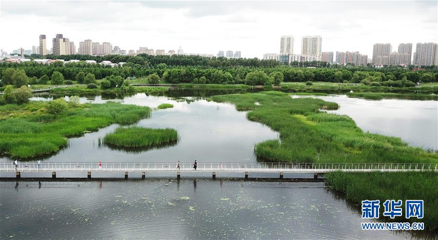 （走向我們的小康生活·圖文互動）（1）水清、地綠、空氣新——最北省份黑龍江繪就生態治理新畫卷