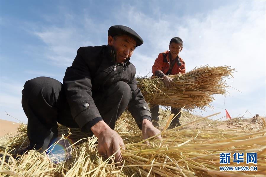 （在習近平新時代中國特色社會主義思想指引下——新時代新作為新篇章·習近平總書記關切事·圖文互動）（5）綠色映底蘊，山水見初心——生態優先、綠色發展持續造福群眾美好生活