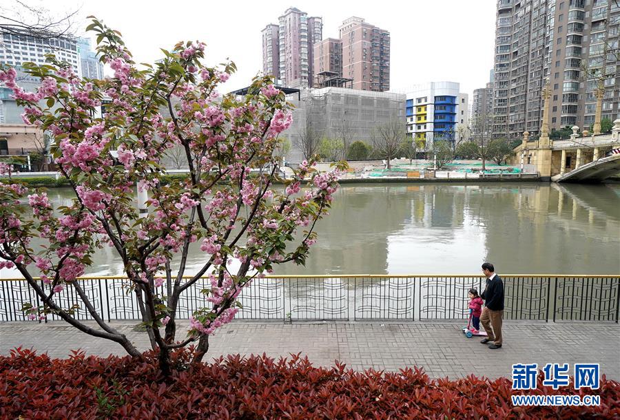 （新華全媒頭條·走向我們的小康生活·圖文互動）（12）城市，讓人民生活更美好