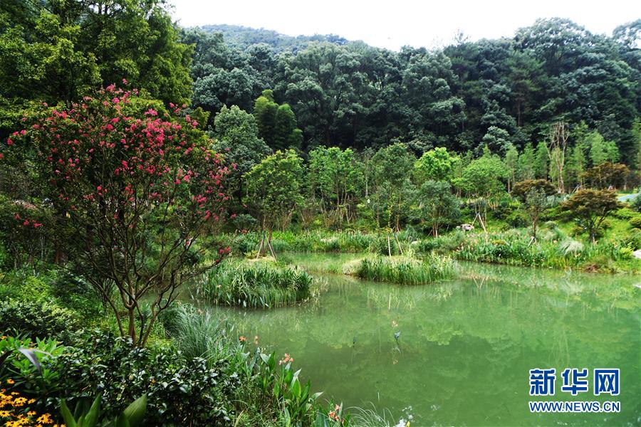 （走向我們的小康生活·圖文互動）（1）從“靠山吃山”到“養山富山”——重慶縉云山的“綠色辯證法”