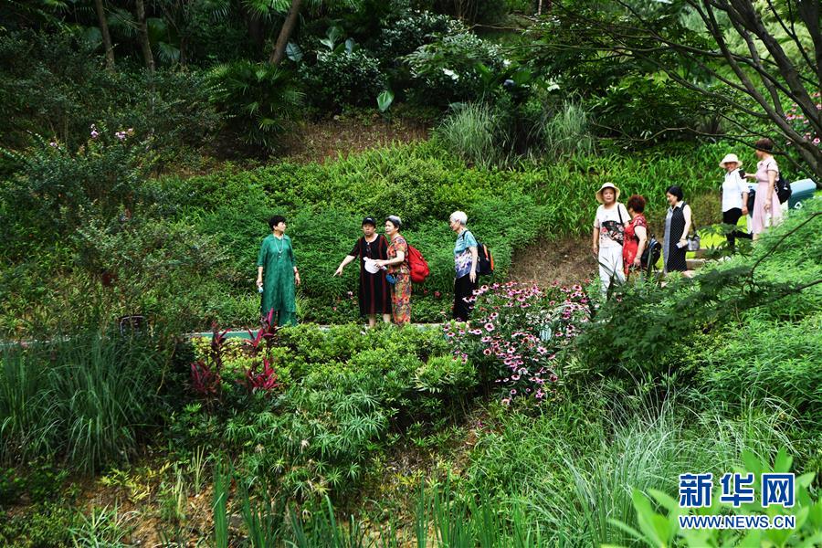 （走向我們的小康生活·圖文互動）（2）從“靠山吃山”到“養山富山”——重慶縉云山的“綠色辯證法”