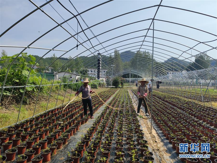 （決戰決勝脫貧攻堅·圖文互動）（3）安居樂業并重，搬遷脫貧同步——湖北88萬搬遷群眾脫貧觀察 