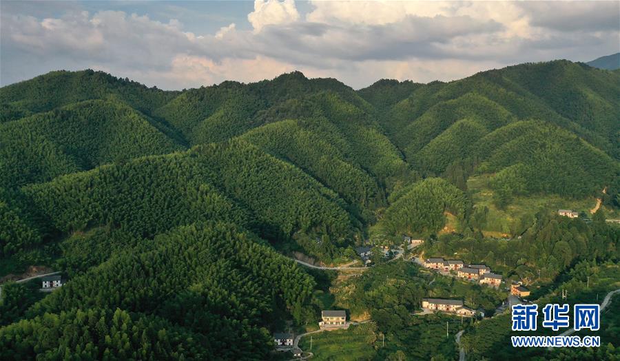 （新華全媒頭條·走向我們的小康生活·圖文互動）（2）神山村“神奇”何在？——井岡山深處覓答案