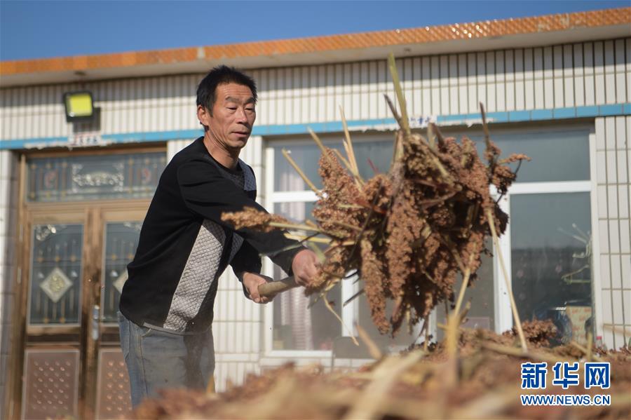 （全面建成小康社會“百城千縣萬村”調研行·圖文互動）（1）互助互利，小甘薯帶來甜蜜日子——內蒙古奈曼旗互利村闖出產業致富之路