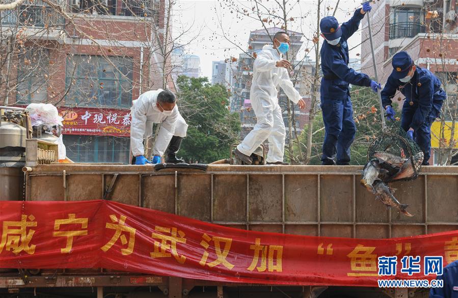 （新華全媒頭條·圖文互動）（12）從人民中汲取磅礴力量——習近平總書記同出席2020年全國兩會人大代表、政協委員共商國是紀實