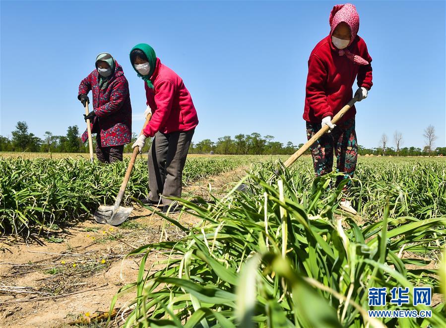 （新華全媒頭條·圖文互動）（17）從人民中汲取磅礴力量——習近平總書記同出席2020年全國兩會人大代表、政協委員共商國是紀實