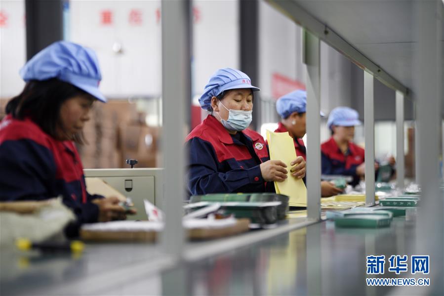 （在習近平新時代中國特色社會主義思想指引下——新時代新作為新篇章·習近平總書記關切事·圖文互動）（1）“綠色銀行”發工資、“股東”分紅來敲門……——探索長效脫貧致富新機制見聞