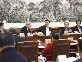 張德江參加十二屆全國人大常委會第二十次會議分組審議