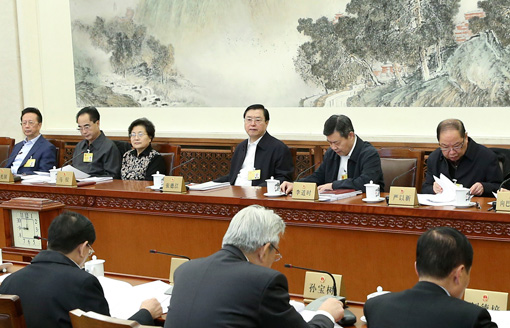 張德江參加全國人大常委會分組審議