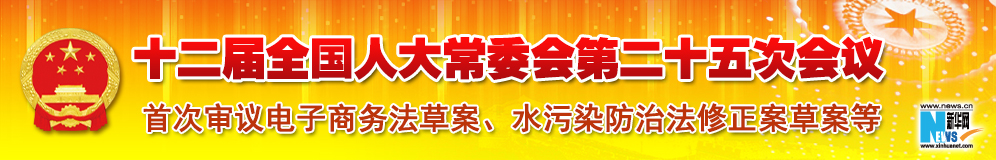 十二屆全國人大常委會第二十五次會議