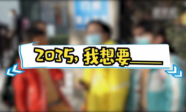2035，我想要____