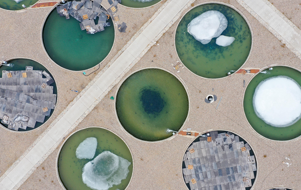 新疆鞏留縣:做好&ldquo;水文章&rdquo; 打造特色水產新名片