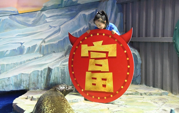 春節前夕，三通打回家的電話