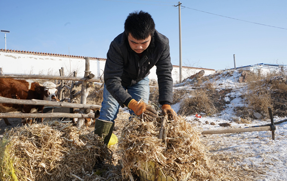 &ldquo;網紅懶漢&rdquo;掃房子迎新年