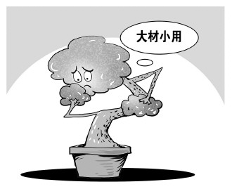 自認“大材小用”，不如腳踏實地