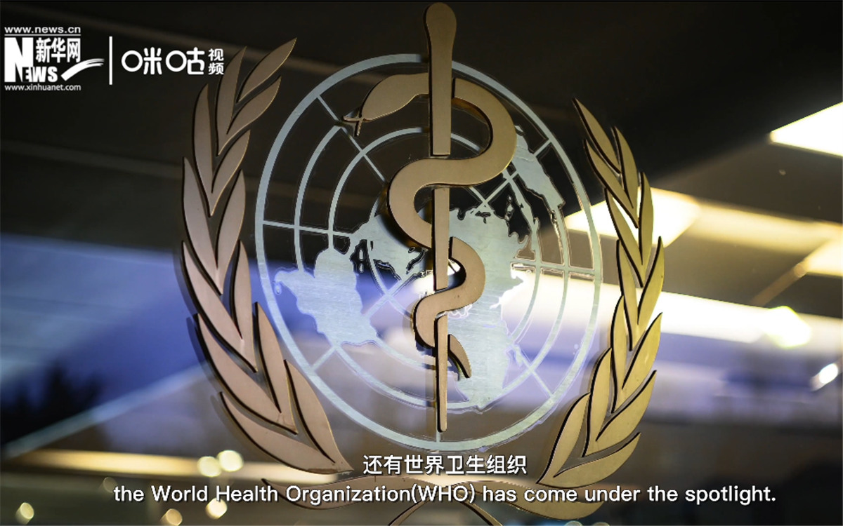 世衛組織在全球公共衛生方面發揮領導和協調作用。