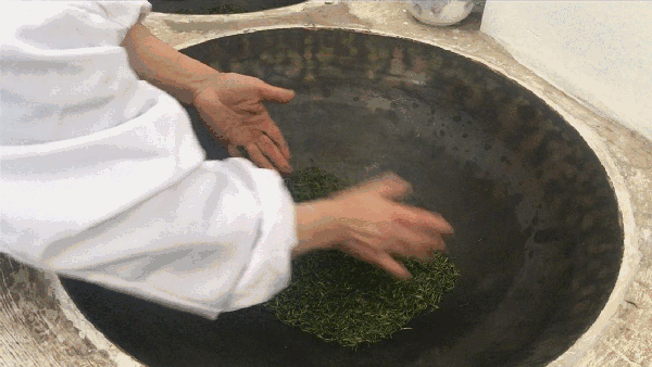 申遺，把雨花茶手藝傳承下去