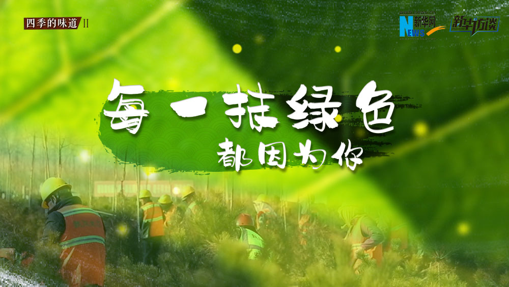 千年秀林，每一抹綠色都因為你