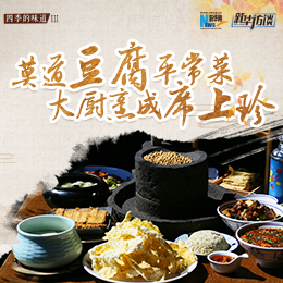 莫道豆腐平常菜，大廚烹成席上珍